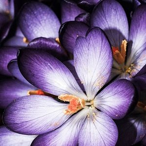 Meet your Posher, Tabitha